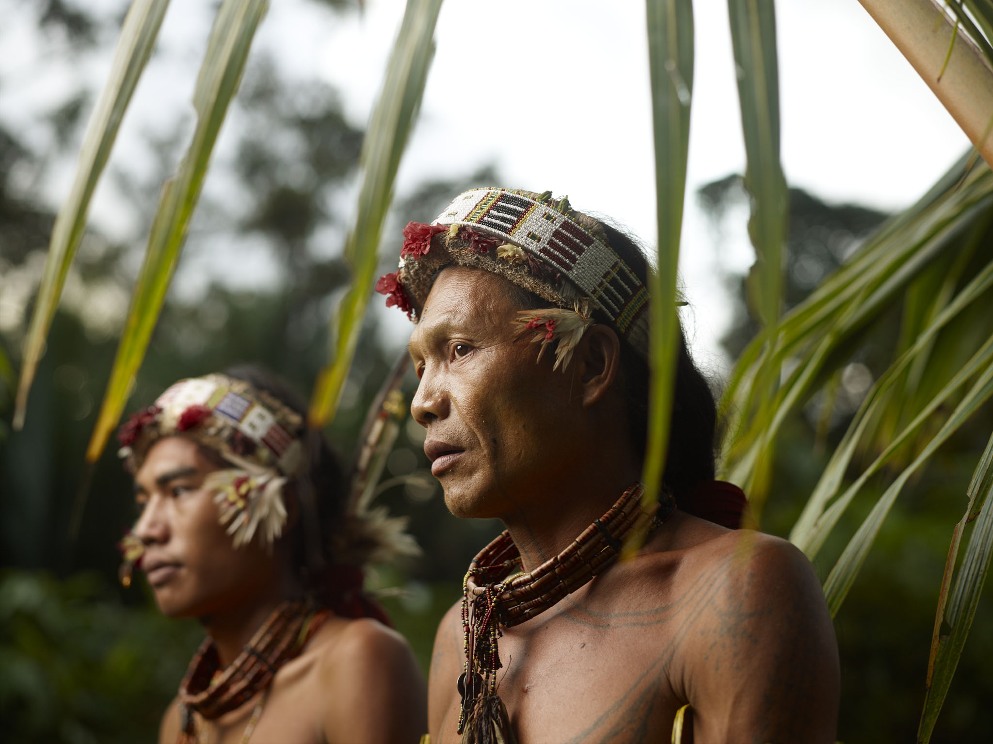 Live with tribe. Индонезийский шаман.